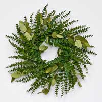 26" Eucalyptus Wreath